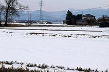 北アルプスの山並みに広々とした田畑の風景、温泉にも恵まれた厳寒の地・安曇野を雪が包む。そこに暮らす人々の健康を支えるのは暖かな家